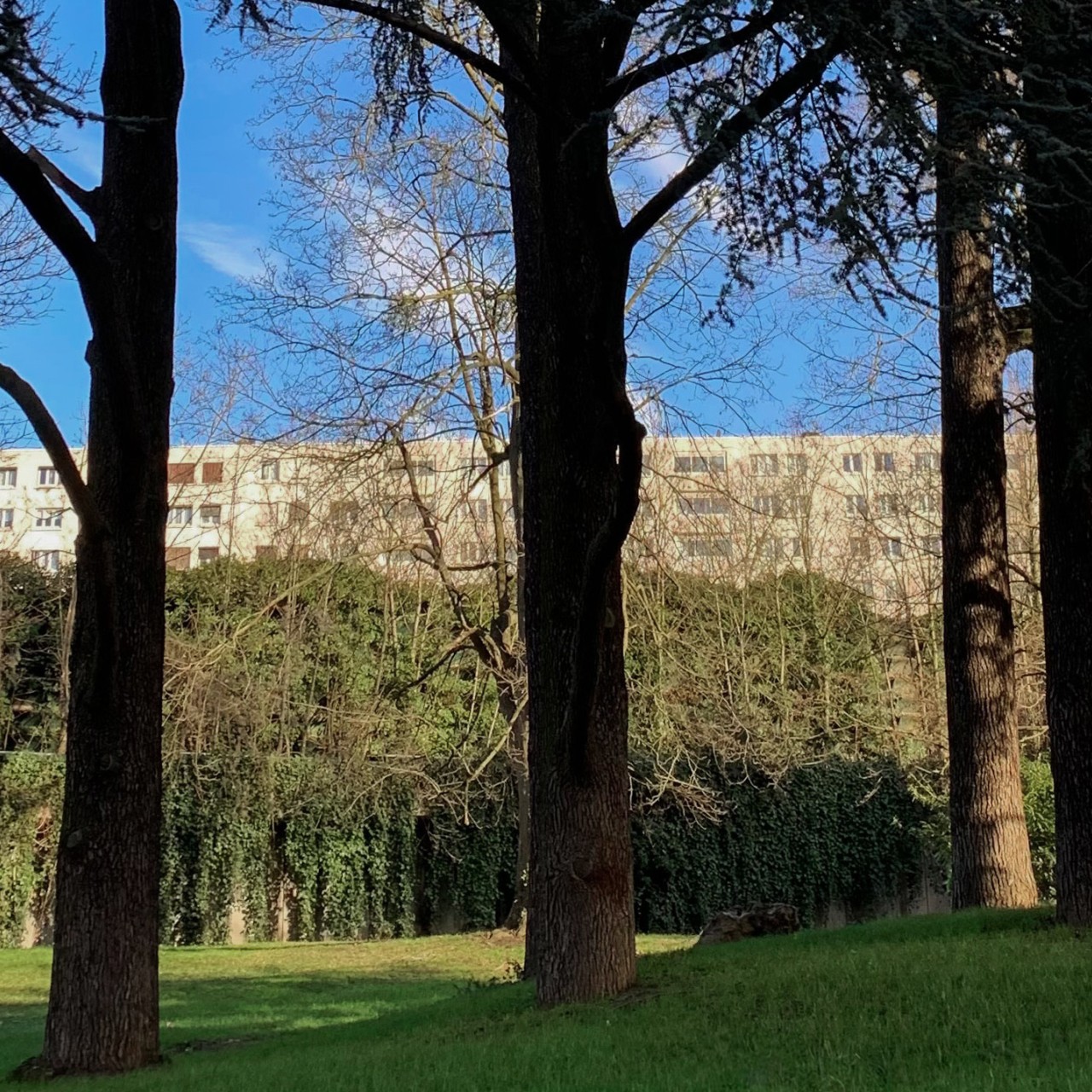 Newsletter n°48 sav-4