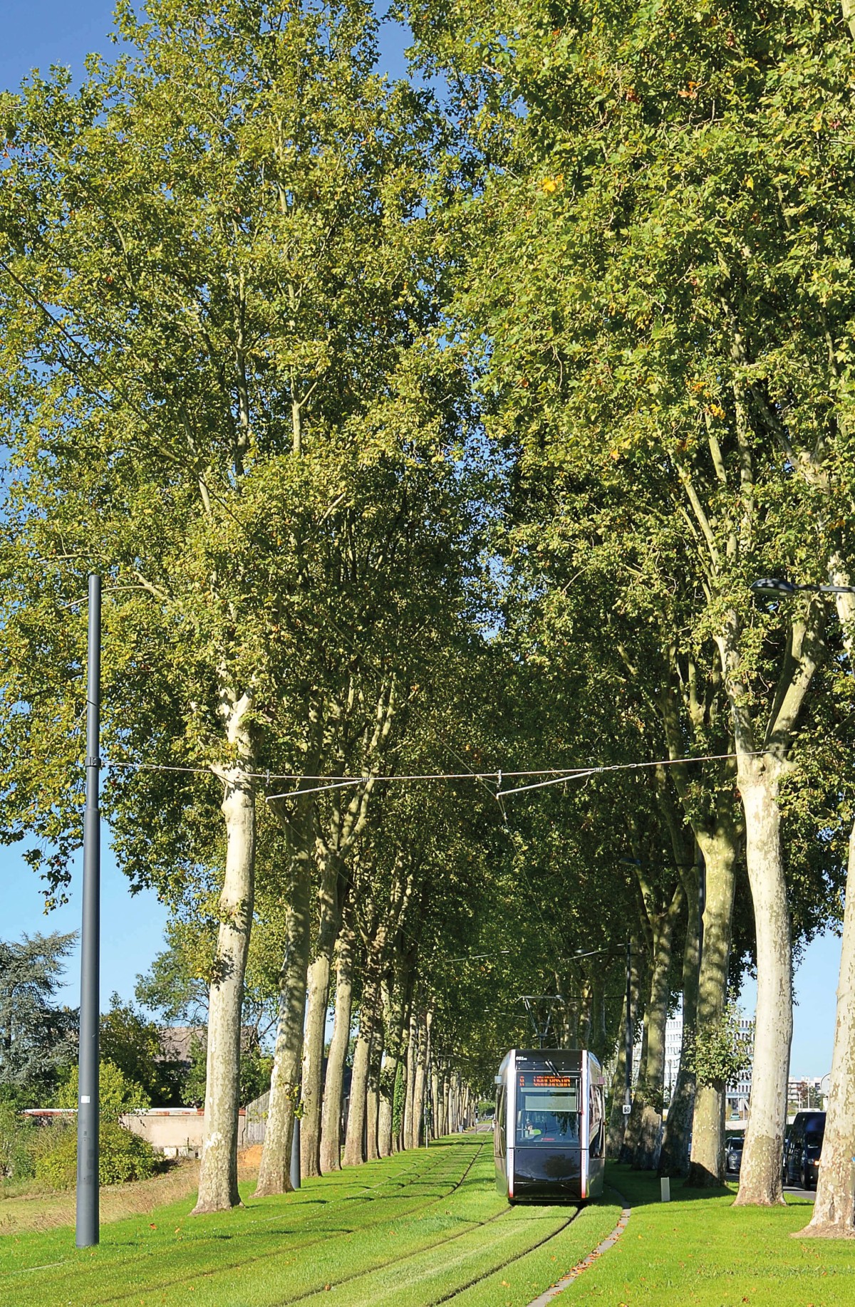 Tours Tramway tramway-tours-septembre-2013-260