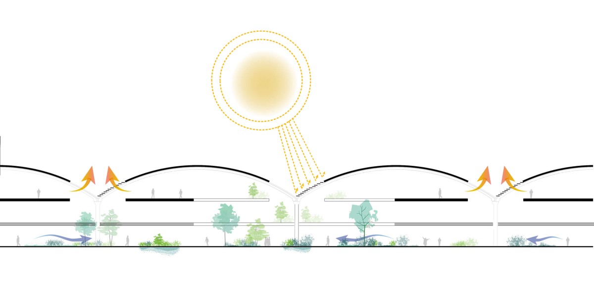 Les halles du Moll de Sant Bertran :<br>La renaissance d'un patrimoine historique bcn_projet_coupe-bioclimatique-01-01