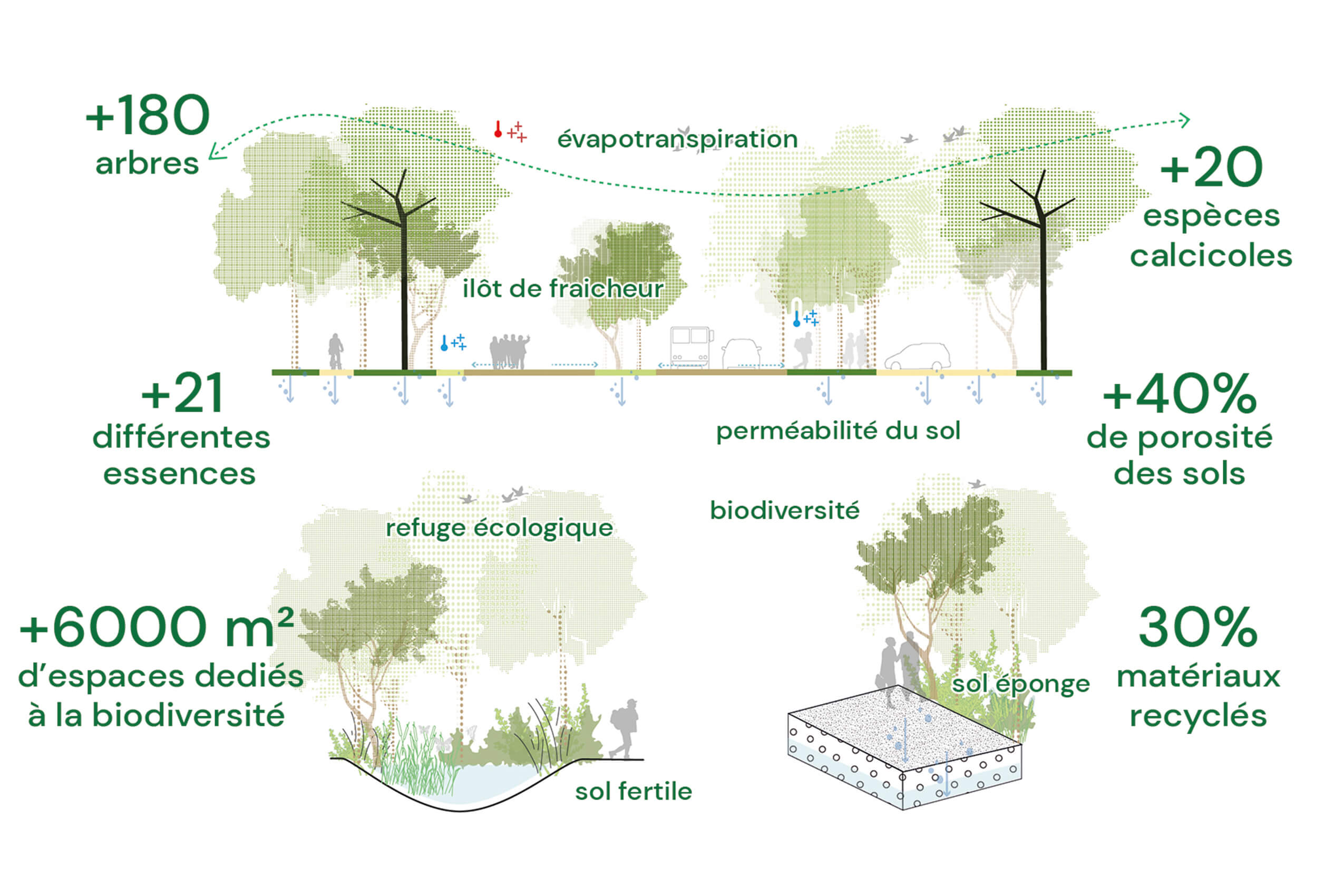 Un jardin déchanges epn_schema_conception